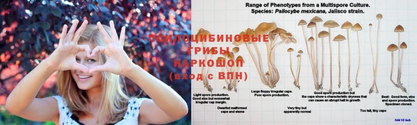 ECSTASY Бугульма