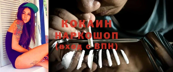 бошки Бородино