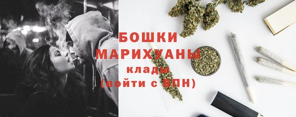 бошки Бородино