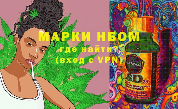 прущие грибы Белая Холуница