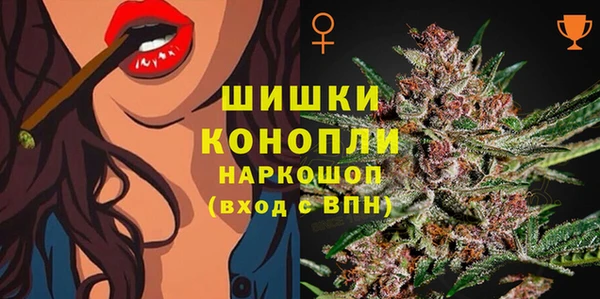 мдпв Беслан