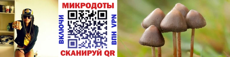 Галлюциногенные грибы GOLDEN TEACHER  закладка  Видное 