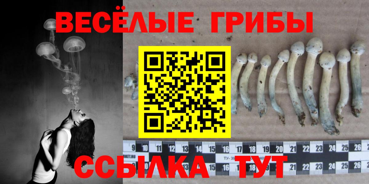 где продают   Галлюциногенные грибы ЛСД  Вход с VPN  Видное 